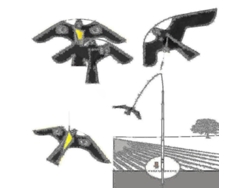 Espantapájaros Repelente De Palomas, Cometa Con Forma De Halcón Para Decoración De Jardín Y Hogar (wanan)