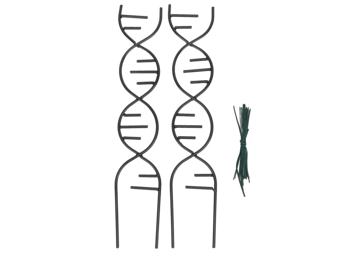 Piezas De Trellis De Metal Para Plantas Trepadoras Con Forma Irregular Única Soporte Para Plantas En Maceta Negro