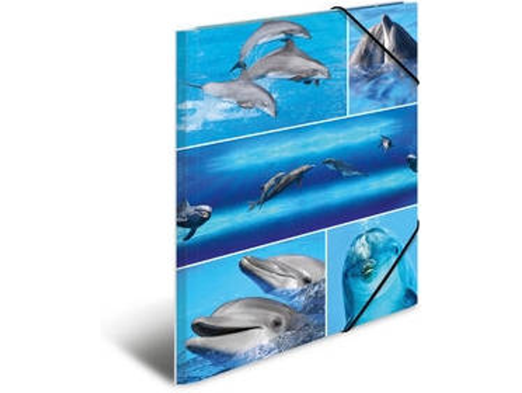 Carpeta HERMA Multicolor (A4 - Cartón)
