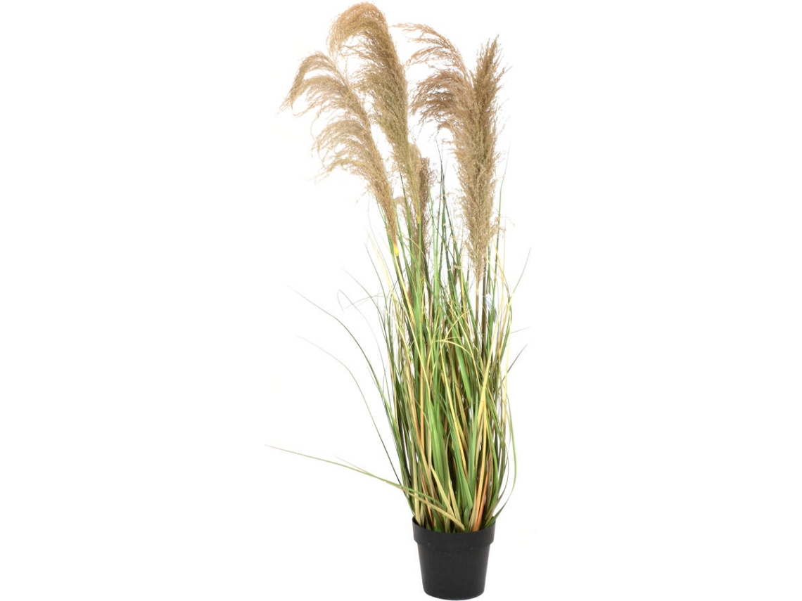 Planta Artificial EUROPALMS Chinese silvergrass (Plateado - 140cm)
