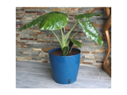 Jardinera redonda para flores - Plástico Ø 31 cm - Azul RIVIERA