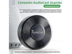 Receptor Inalámbrico Hifi M5 Audiocast