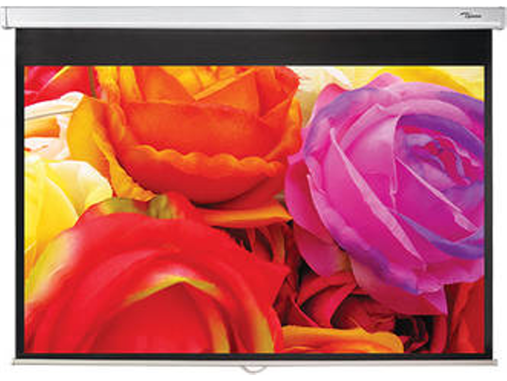 Pantalla de proyección OPTOMA DS-1095PMG+