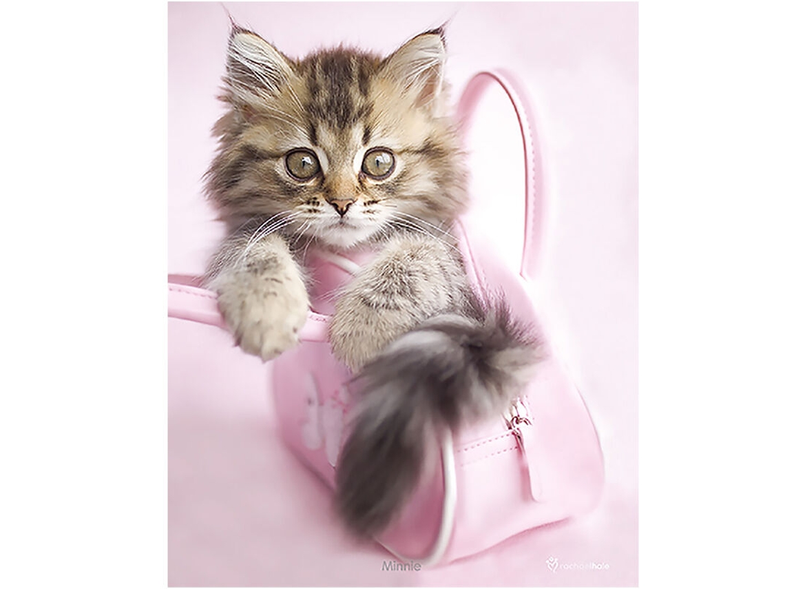 Mini póster (minnie) de Rachael Hale B.active