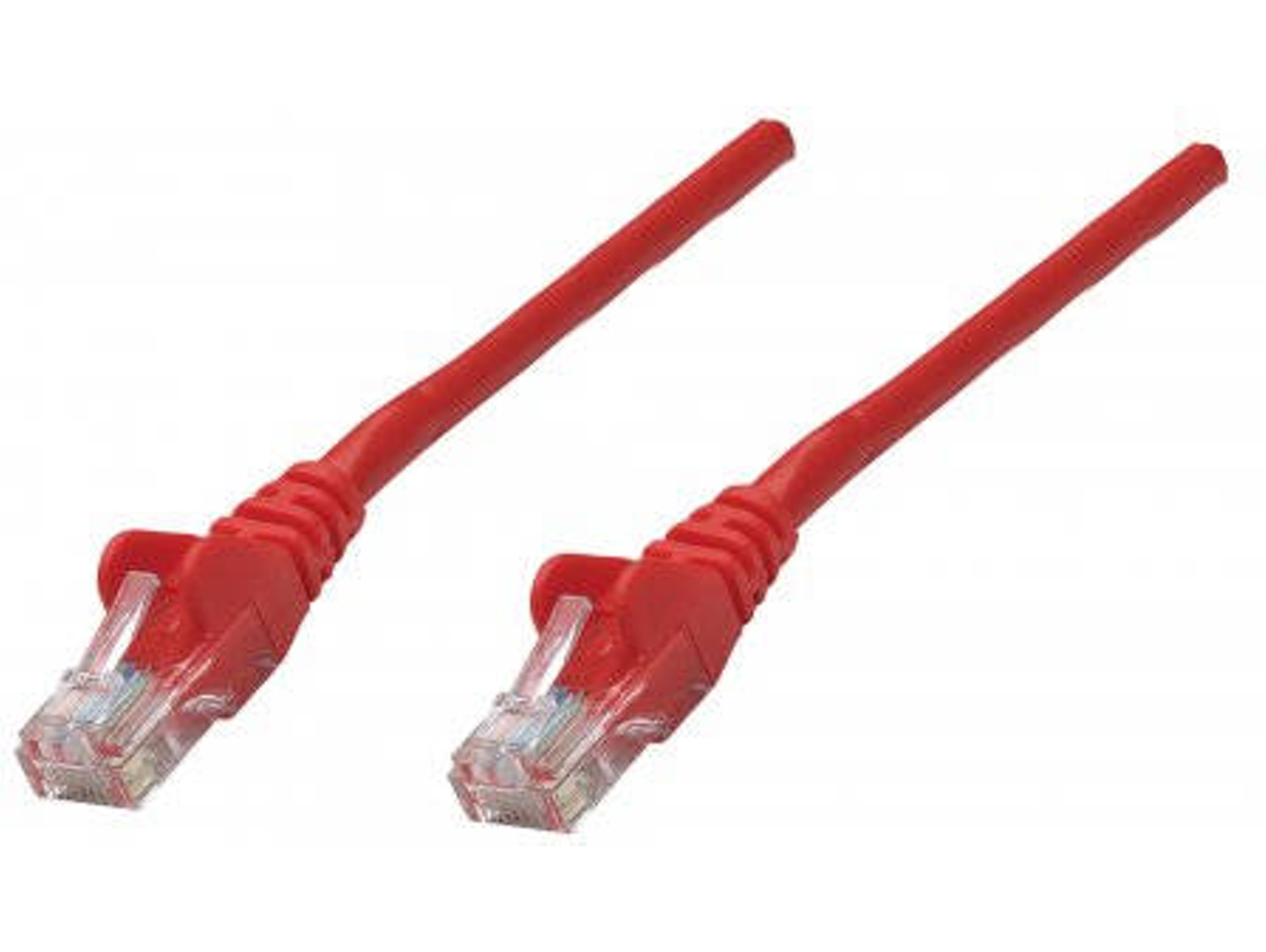 Cable INTELLINET (RJ45 - 0.25 m - Rojo)