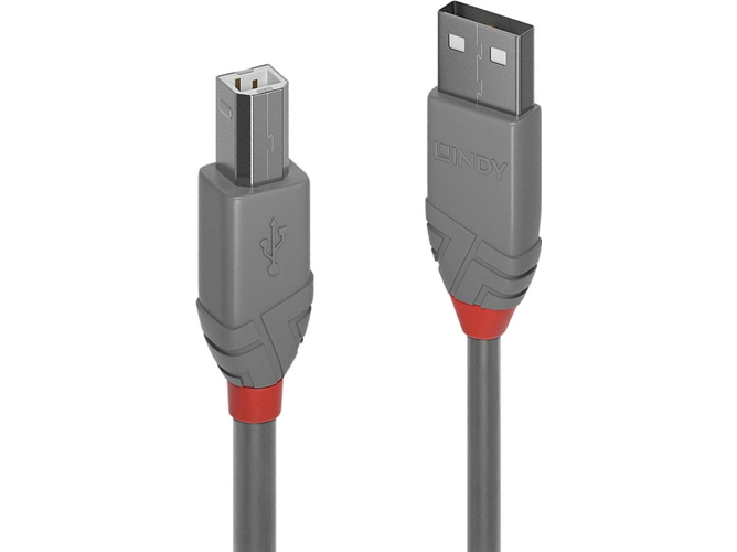 Cable USB LINDY (USB - USB)