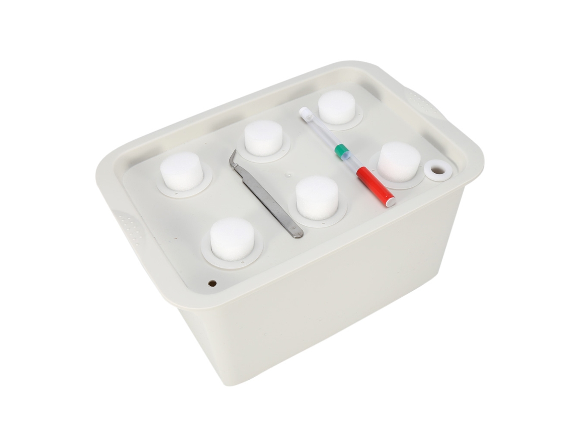 VYLARA Sistema hidropônico de 6 furos para plantas, kit de cultivo de bolhas para jardim interno ou externo, armário ou caixa (cinza)