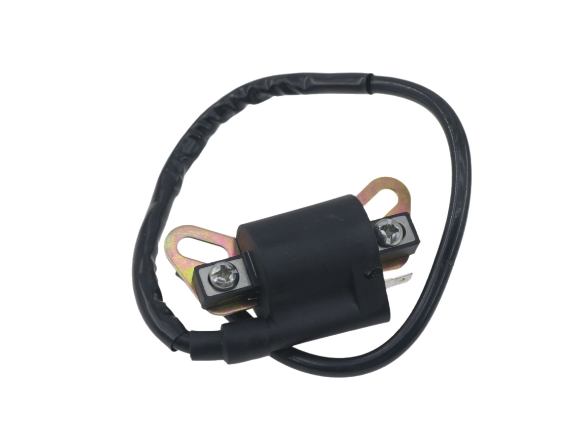 Bobina De Ignição Para Motocicleta – Upgrade De Alto Desempenho (modelo Popular No Sudeste Asiático)