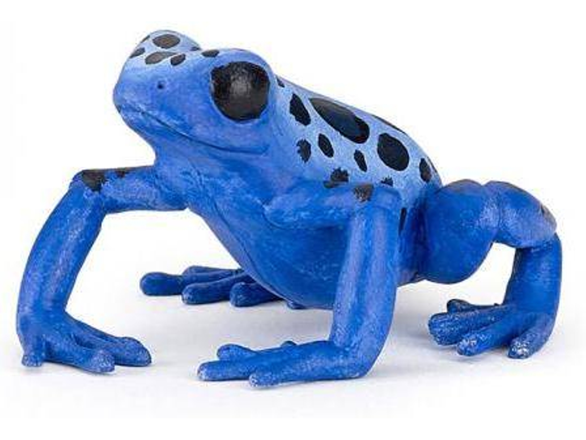 Figura PAPO Sapo Azul Equatorial