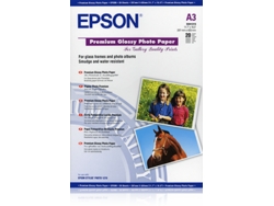 Papel Fotográfico EPSON C13S041315