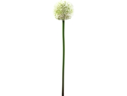 Planta Artificial EUROPALMS Allium (Verde - 55 cm)