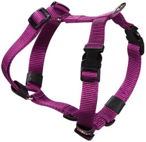 Arnes Arppe Nylon morado 2241013011 basic para perros t30