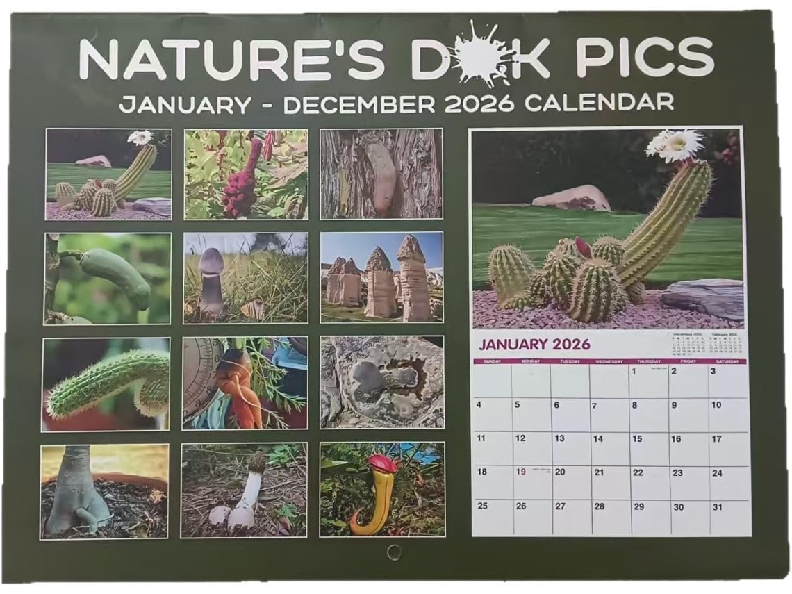 Calendario Extragrande De 2026, 27, 9 X 21, 6 Cm, Papel Grueso, Diseños Mensuales Divertidísimos