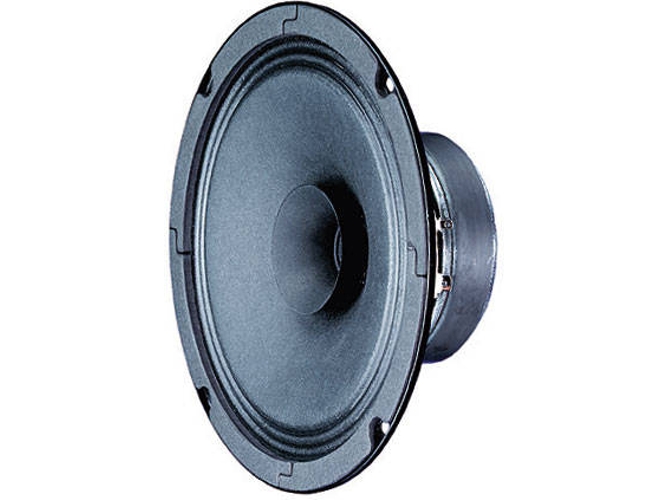 Altavoces VISATON BG 17 (40 W)