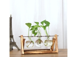 Terrario de cristal con soporte de madera para decoración de interiores