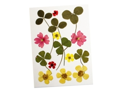 13 Unidades/Bolsa de Flores Secas Naturales y Hojas Amarillas Slowmoose