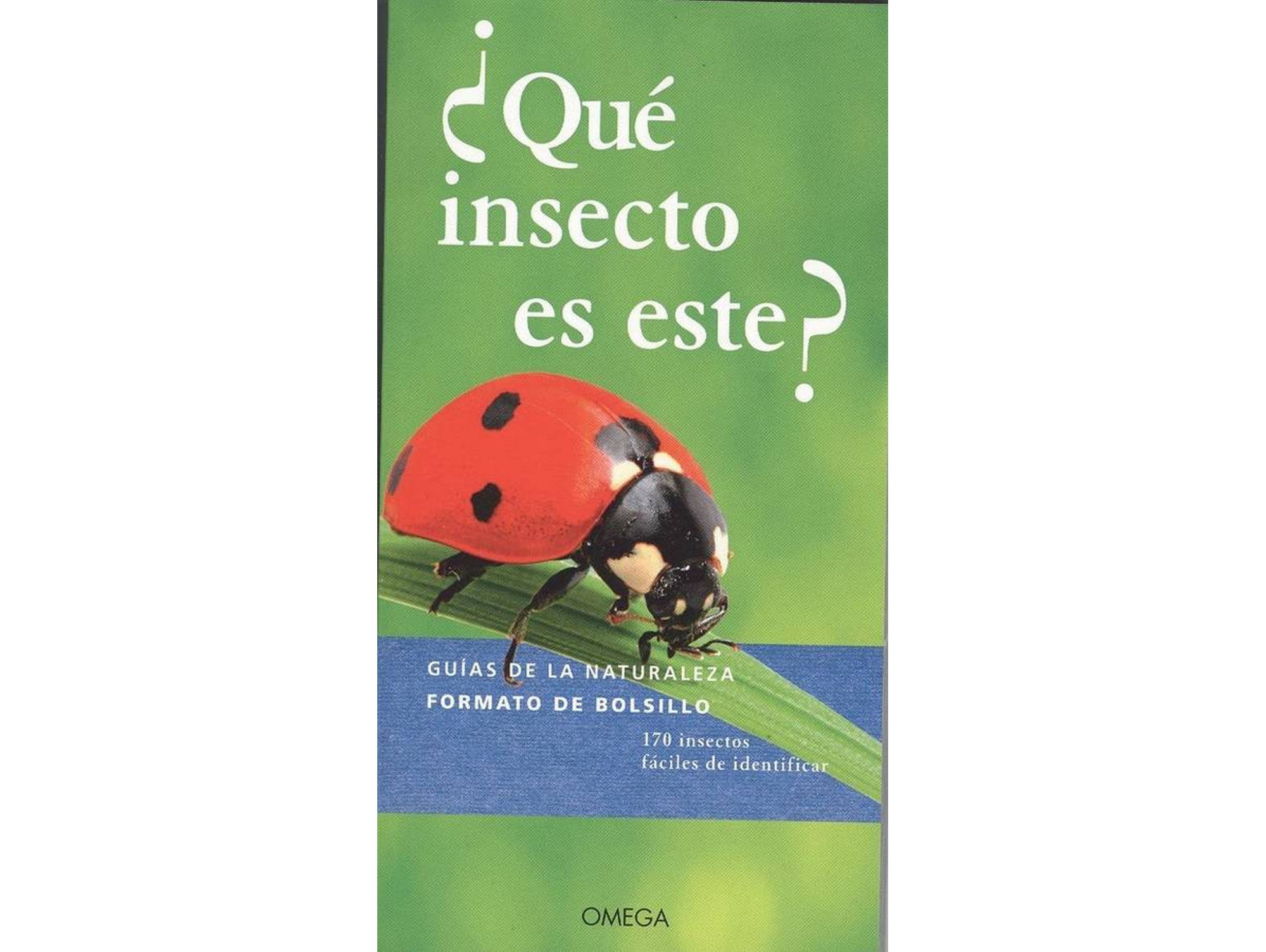Libro ¿Què Insecto Es Este? (Español)