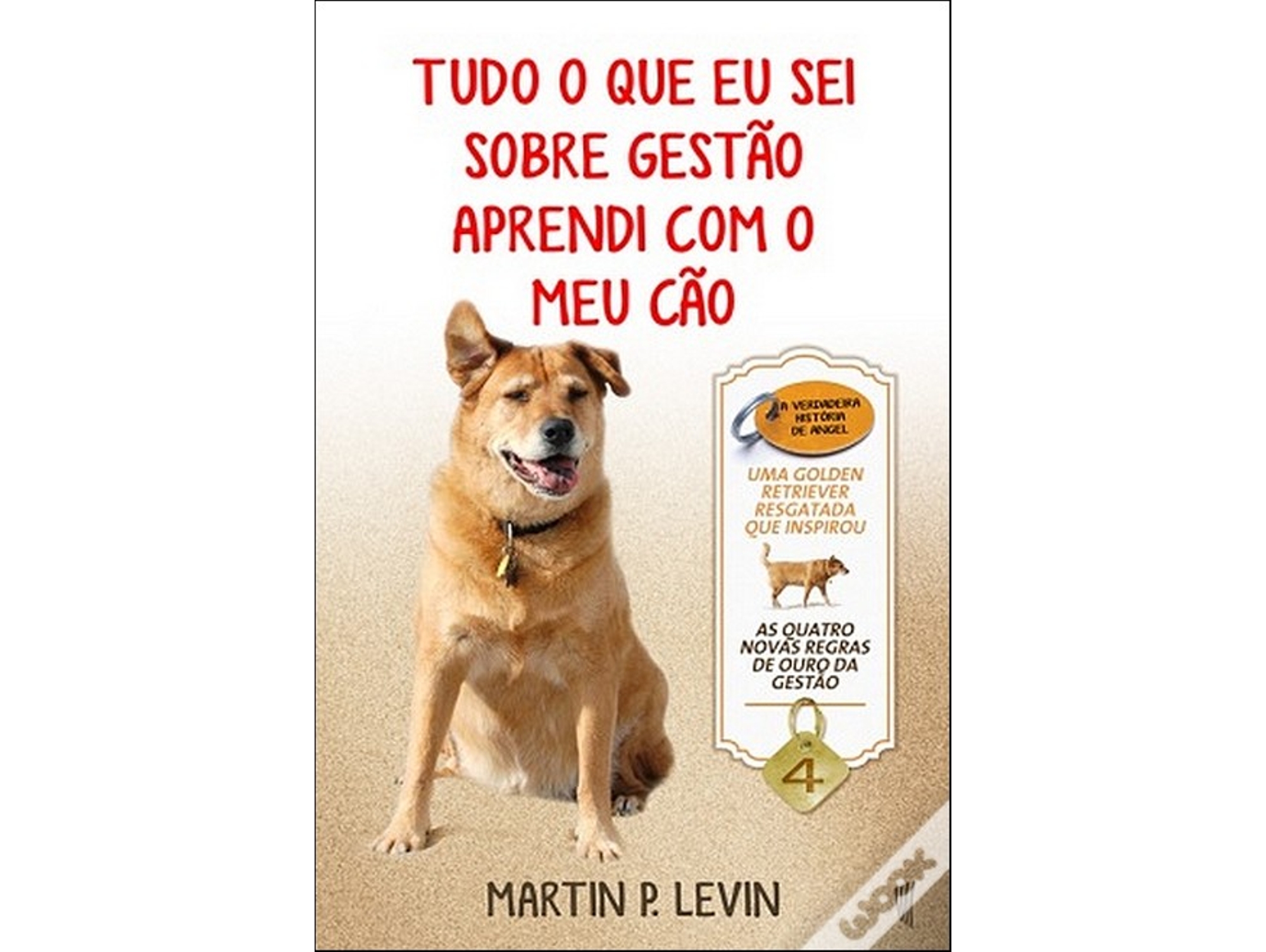MARTIN P.LEVIN'TUDO O QUE APRENDI SO'F12