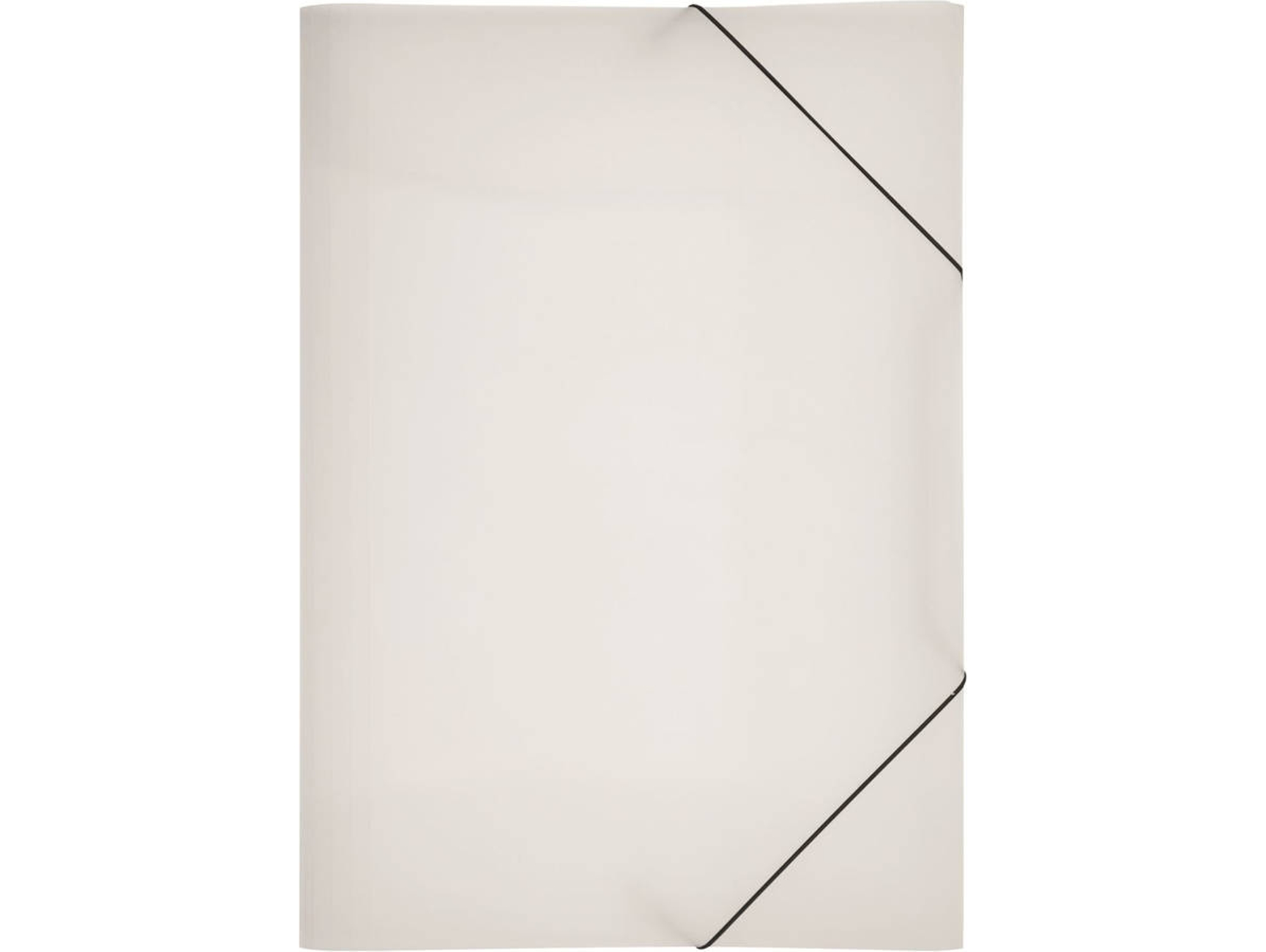 Carpeta PAGNA 21638-19 Transparente (A3 - Polipropileno)