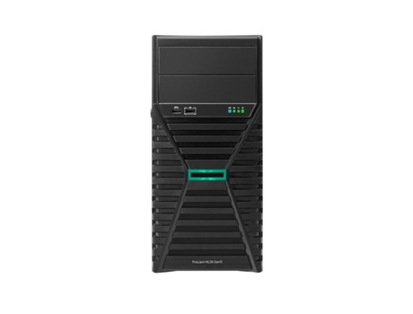 Servidor HPE ML30 GEN11 (16 GB RAM)