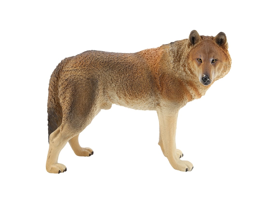 Bj-coleção De Figuras De Animais Selvagens Simuladas Brinquedos Modelo Decoração Ornamental (2)