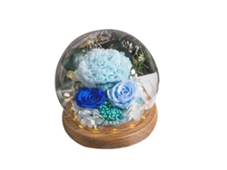 Rosa Eterna en Cúpula de Cristal, Flores Frescas Iluminadas, Regalo de Cumpleaños para Mujeres y Madres