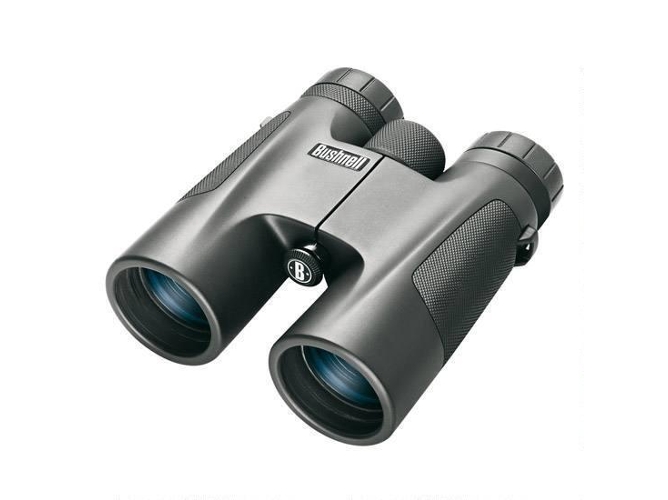 Prismático BUSHNELL Powerview 10x42
