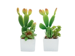 Bonsái de planta suculenta de Cactus simulado, adornos pequeños creativos en macetas cuadradas, 2 uds. NEVEANCE