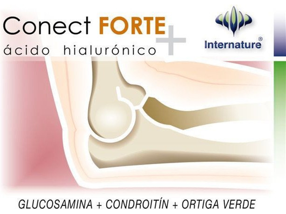 Complemento Alimentar INTERNATURE Conect Forte Plus (60 Cápsulas)