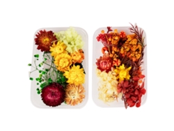 2 cajas de flores secas para resina, moldes de joyería, manualidades, velas, jabón MEOIRUERY
