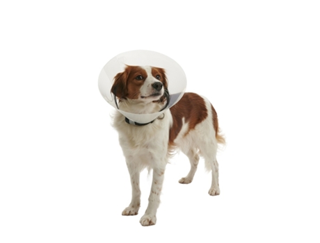KRUUSE Coleira Elizabetana Transparente Buster Click 25 Cm Cães 25 a 30 Kg 10 Unidades