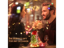 Lámpara LED rosa con forma de botella de cristal - Regalo ideal para Navidad y San Valentín