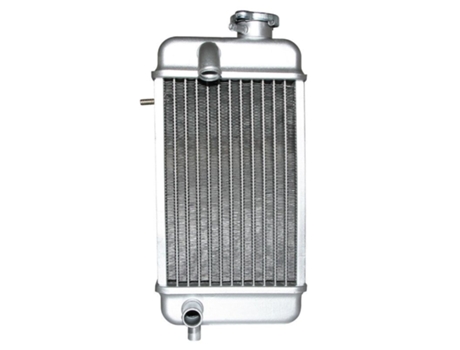 Radiador de moto P2R Rieju 50 Rmx, Smx, Rr, Spike