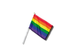 Banderin Pequeño con Bandera DIVERTY SEX LGBT+ 30 cm