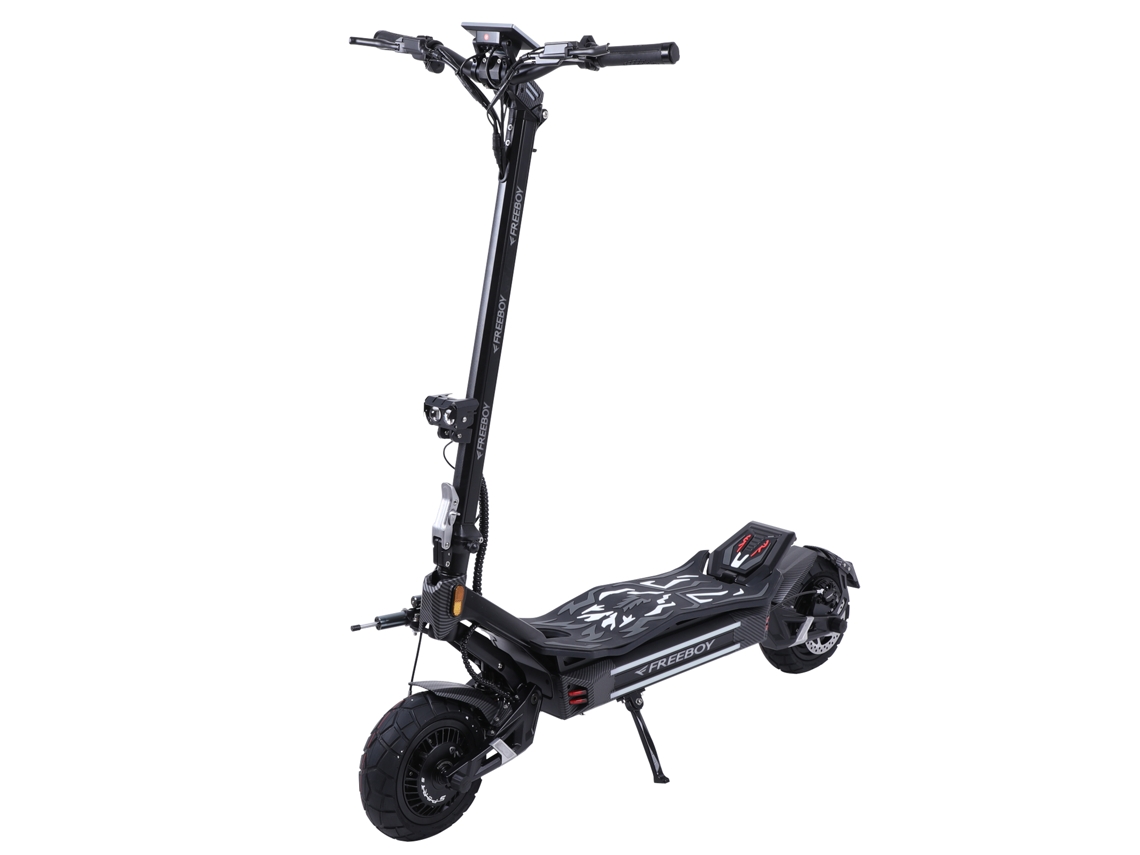 Patinete eléctrico todoterreno Freeboy H16 de 11 pulgadas con batería de 60 V y 30 Ah