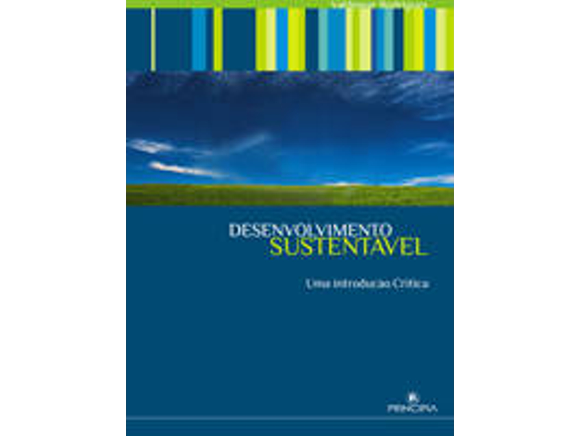 Libro Desenvolvimento Sustentável de Valdemar Rodrigues (Portugués)