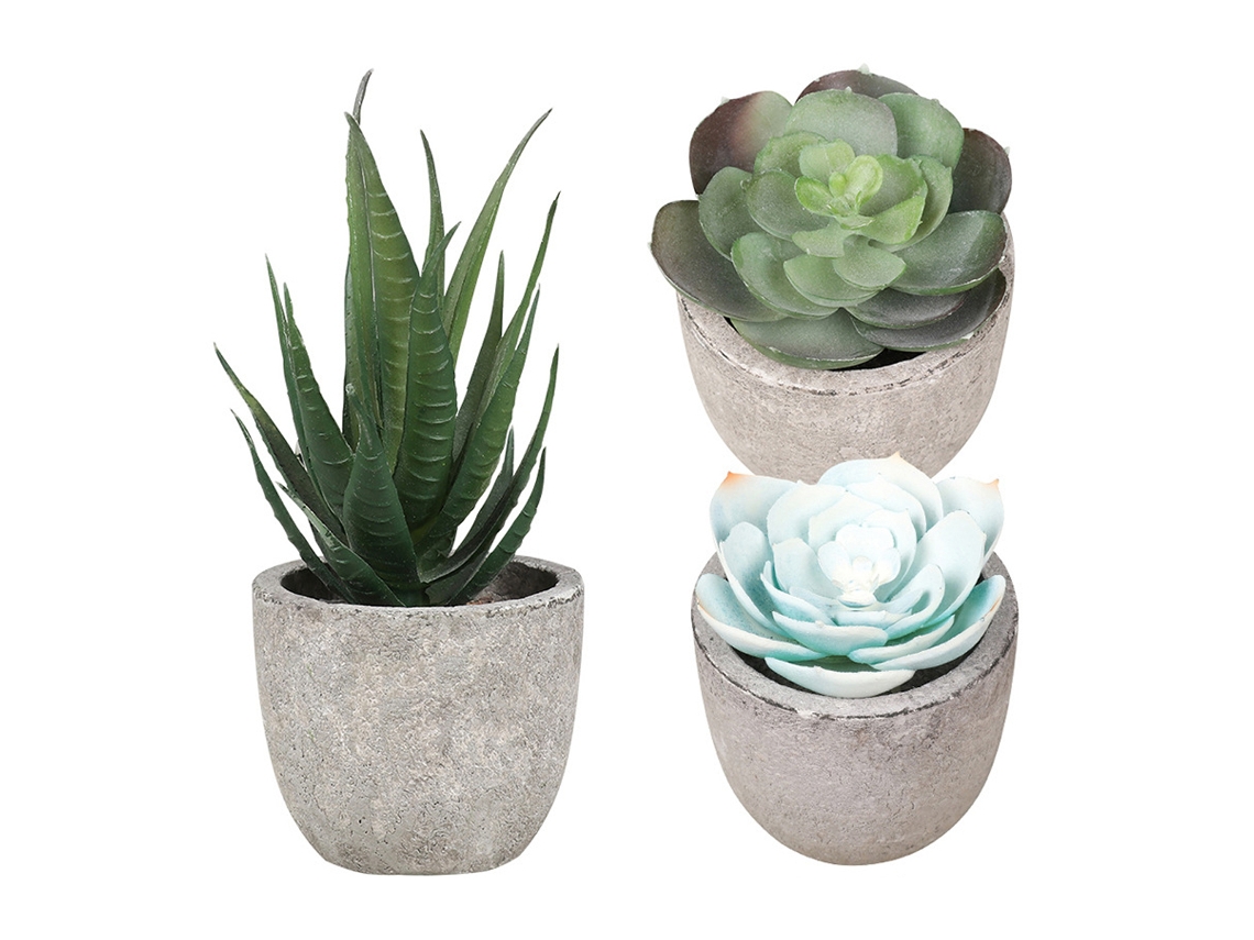 Conjunto de Macetas Suculentas Modernas para Decoración KOFIHETY