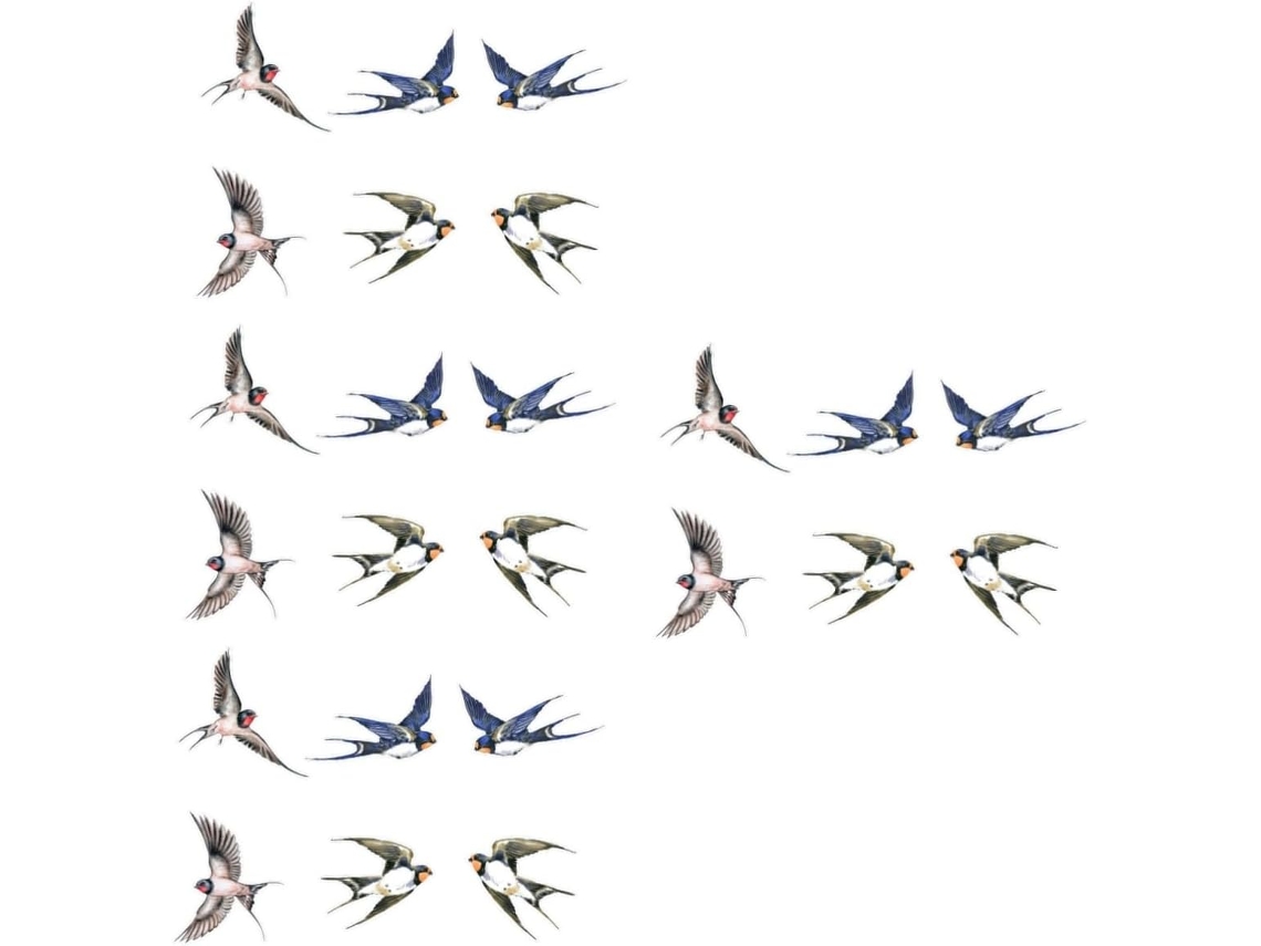 Pegatina Para Sala De Estar - Pegatina De Pájaro Para Parachoques - Esta Pegatina Para Ventana Evita Que...