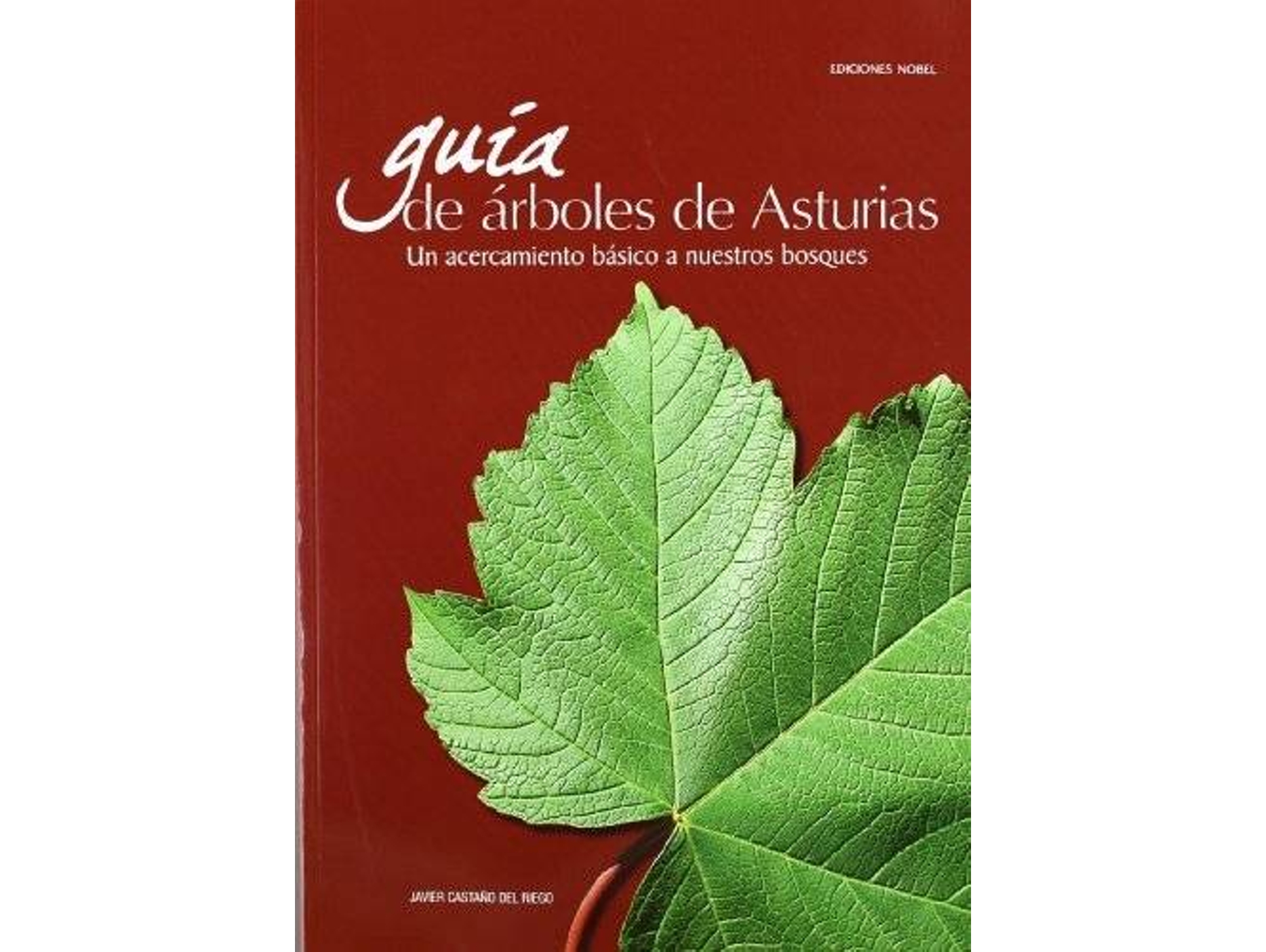 Libro Guía De Árboles De Asturias de Javier Castaño del Riego (Español)