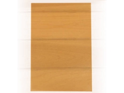 Papel Vegetal SCHOELLERSHAMMER 1837680 (A4 - Naranja - 10 Hojas)