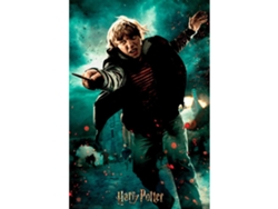 Puzzle 2D PRIME 3D Quebra-cabeça lenticular ron weasley harry potter