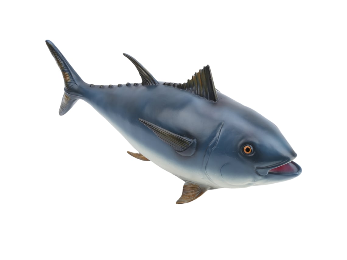 Juguete educativo con modelo realista de pez marino para niños, regalo para el aprendizaje cognitivo.