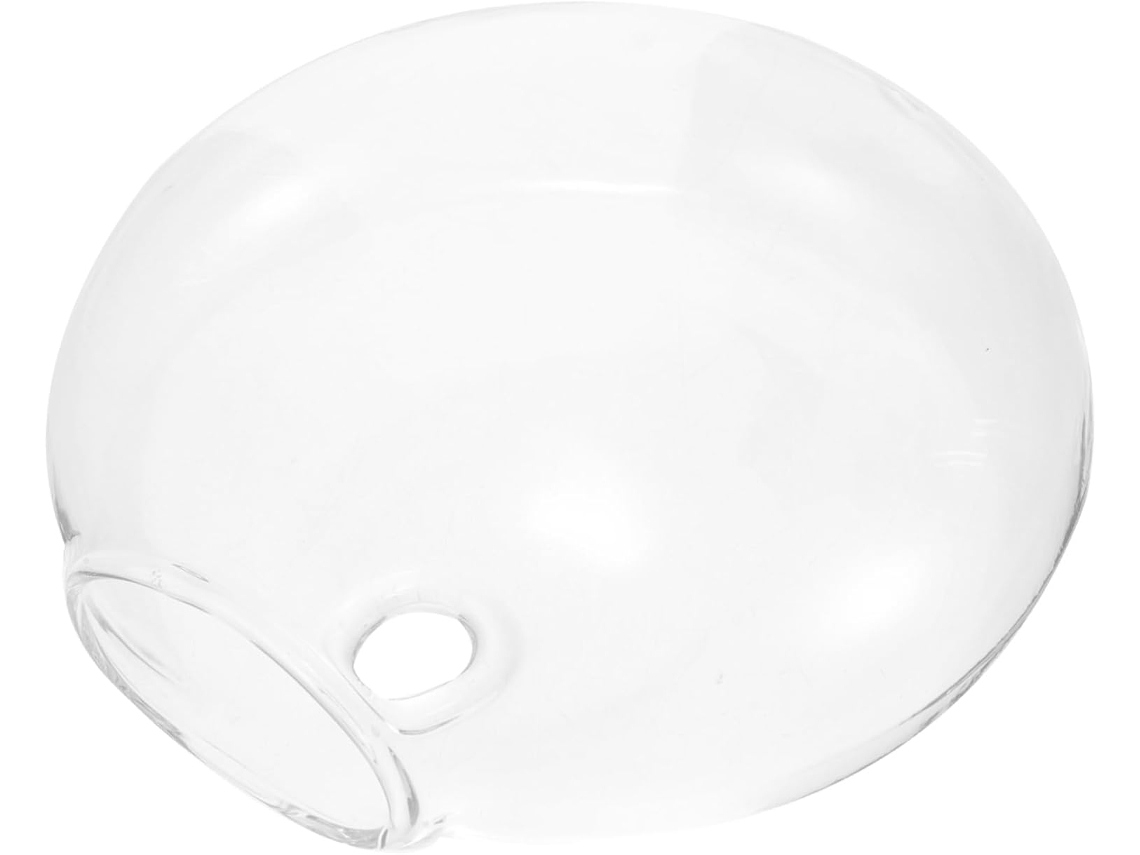 Colgante De Transparente Para Decoración De Pared Jarrón Hidrónico Para Y Flores Accesorio