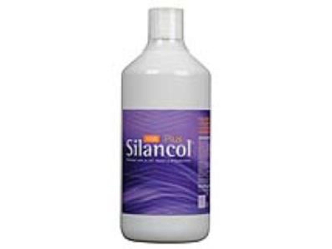 Complemento Alimentar MCA PRODUCTOS NATURALES Silancol Plus (1 L)