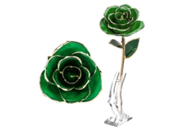 Rosa Verde De Tallo Largo Bañada En Oro De 24 Quilates Con Soporte Dorado Y Caja De Regalo.