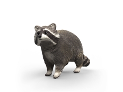Figura Mapache