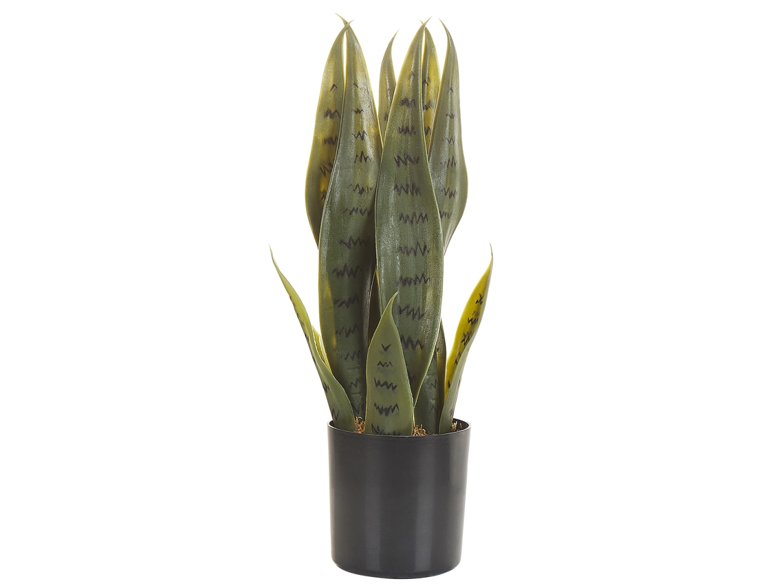 Planta artificial BELIANI Snake plant de Material sintético Verde 10x10x40