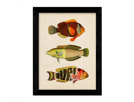 Set De 4 Láminas De Peces Coloridos Efecto Vintage. Bahamas. Composicion De 12 Peces Diferentes, Fondo Papel Antiguo Vintage. Sin Marco