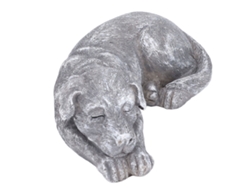 Placa conmemorativa para mascotas (gatos), lápida para gatos, resina, para exteriores, sin marca.