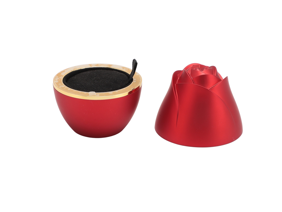 Caja colgante para guardar joyas - Regalo especial